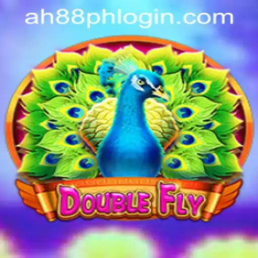 Discovering DoubleFly: A Thrilling Casino Adventure